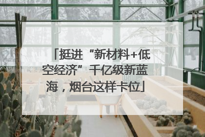 挺进“新材料+低空经济”千亿级新蓝海，烟台这样卡位