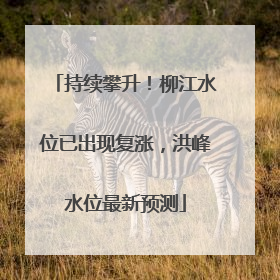 持续攀升！柳江水位已出现复涨，洪峰水位最新预测