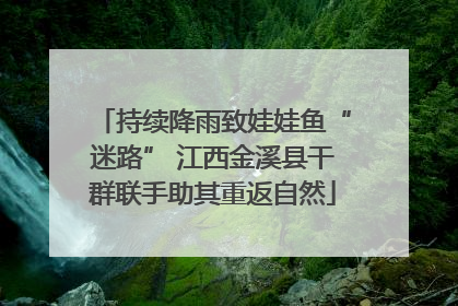 持续降雨致娃娃鱼“迷路” 江西金溪县干群联手助其重返自然