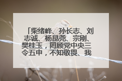 柴绪峰、孙长志、刘志诚、杨昆尧、宗刚、樊桂玉，罔顾党中央三令五申，不知敬畏、我行我素、肆意妄为！