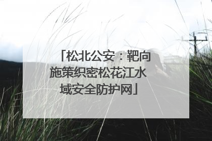 松北公安：靶向施策织密松花江水域安全防护网