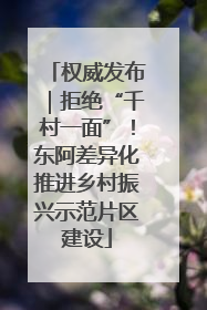 权威发布｜拒绝“千村一面”！东阿差异化推进乡村振兴示范片区建设