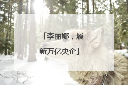李丽娜，履新万亿央企