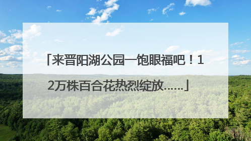 来晋阳湖公园一饱眼福吧！12万株百合花热烈绽放……