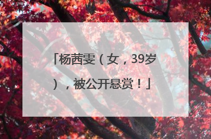 杨茜雯（女，39岁），被公开悬赏！
