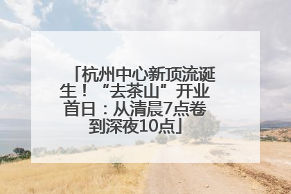 杭州中心新顶流诞生！“去茶山”开业首日：从清晨7点卷到深夜10点