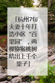杭州7旬夫妻十年打造小区“百果园”，两棵猕猴桃树结出上千个果子