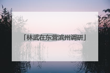 林武在东营滨州调研