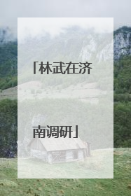 林武在济南调研