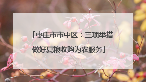 枣庄市市中区：三项举措做好夏粮收购为农服务
