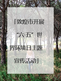 敦煌市开展“六·五”世界环境日主题宣传活动