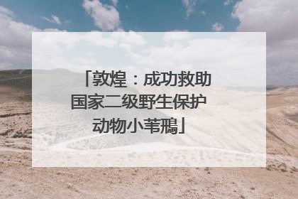 敦煌：成功救助国家二级野生保护动物小苇鳽