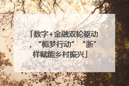 数字+金融双轮驱动，“栀梦行动”“浙”样赋能乡村振兴