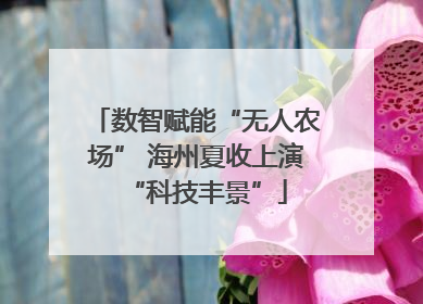 数智赋能“无人农场” 海州夏收上演“科技丰景”