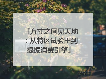 方寸之间见天地：从特区试验田到提振消费引擎