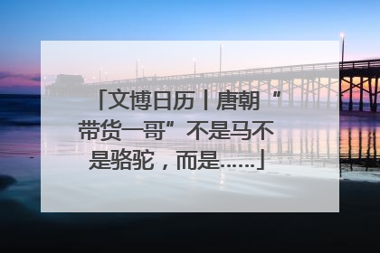 文博日历丨唐朝“带货一哥”不是马不是骆驼，而是……