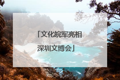 文化皖军亮相深圳文博会