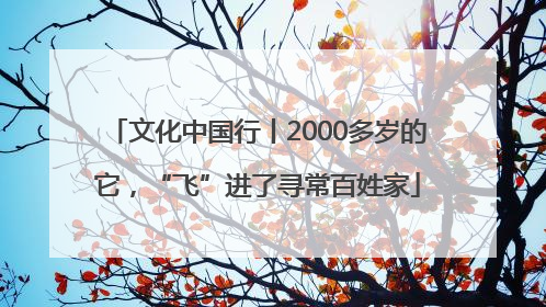 文化中国行丨2000多岁的它，“飞”进了寻常百姓家