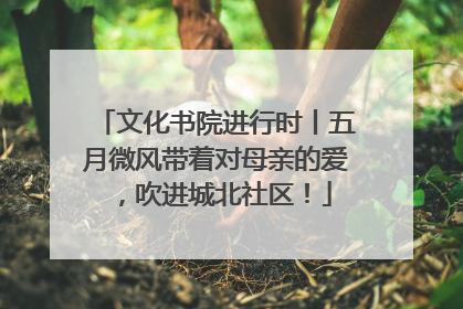 文化书院进行时丨五月微风带着对母亲的爱，吹进城北社区！