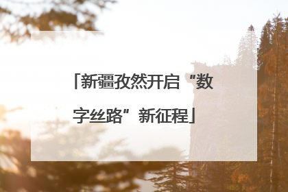 新疆孜然开启“数字丝路”新征程