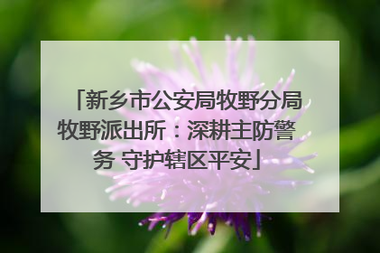 新乡市公安局牧野分局牧野派出所：深耕主防警务 守护辖区平安