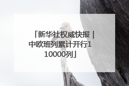 新华社权威快报｜中欧班列累计开行110000列