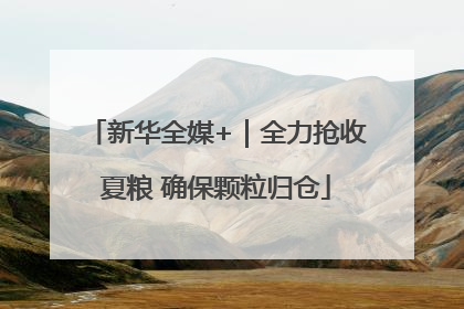 新华全媒+｜全力抢收夏粮 确保颗粒归仓