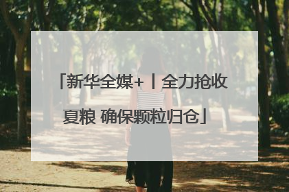 新华全媒+丨全力抢收夏粮 确保颗粒归仓