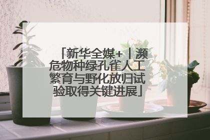 新华全媒+丨濒危物种绿孔雀人工繁育与野化放归试验取得关键进展