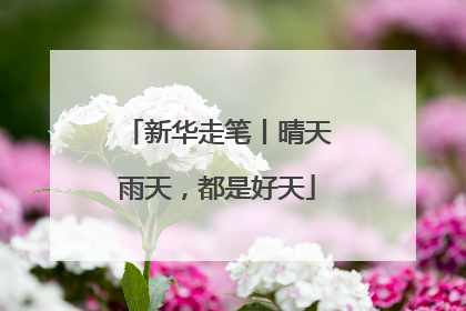 新华走笔丨晴天雨天，都是好天