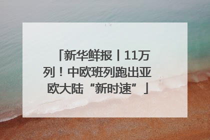 新华鲜报丨11万列！中欧班列跑出亚欧大陆“新时速”