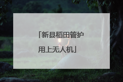 新县稻田管护用上无人机