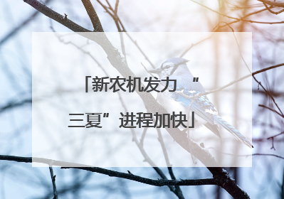 新农机发力 “三夏”进程加快
