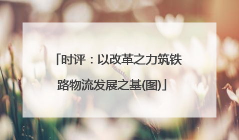 时评：以改革之力筑铁路物流发展之基(图)