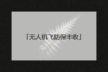 无人机飞防保丰收
