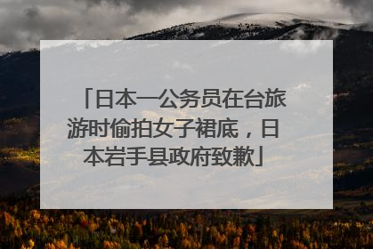 日本一公务员在台旅游时偷拍女子裙底，日本岩手县政府致歉