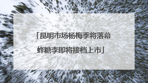昆明市场杨梅季将落幕 蜂糖李即将接档上市