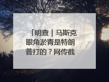 明查｜马斯克眼角淤青是特朗普打的？网传截图是“高仿”