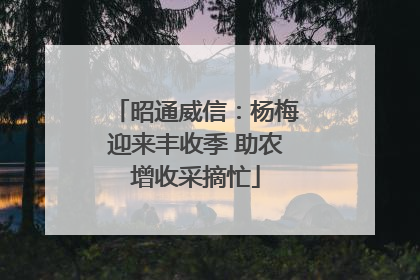 昭通威信：杨梅迎来丰收季 助农增收采摘忙
