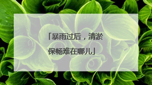 暴雨过后，清淤保畅难在哪儿