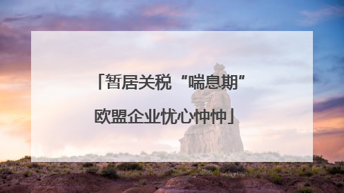 暂居关税“喘息期” 欧盟企业忧心忡忡