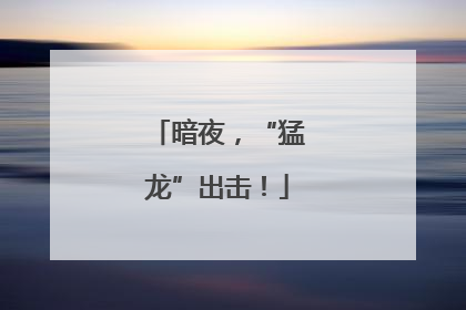 暗夜，“猛龙”出击！