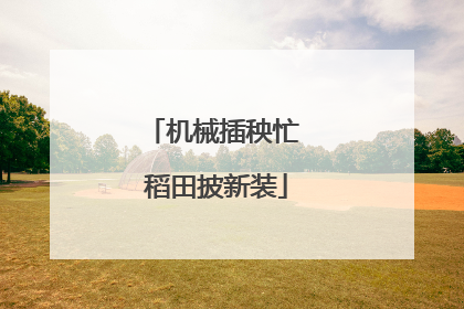 机械插秧忙 稻田披新装
