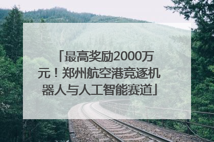 最高奖励2000万元！郑州航空港竞逐机器人与人工智能赛道