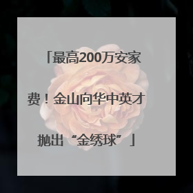 最高200万安家费！金山向华中英才抛出“金绣球”