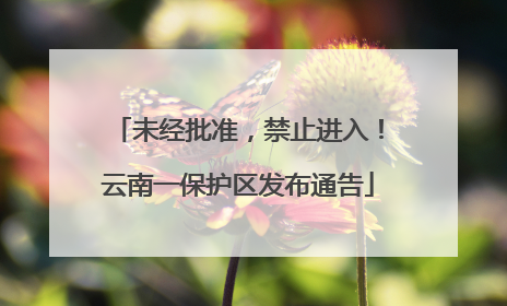 未经批准，禁止进入！云南一保护区发布通告