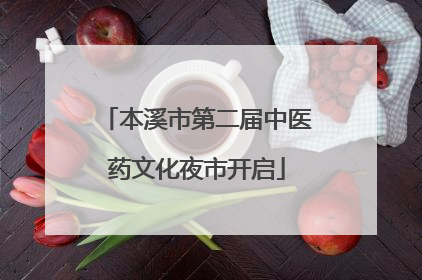本溪市第二届中医药文化夜市开启