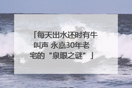 每天出水还时有牛叫声 永嘉30年老宅的“泉眼之谜”