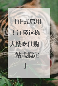 正式启用！江陵这栋大楼吃住购一站式搞定