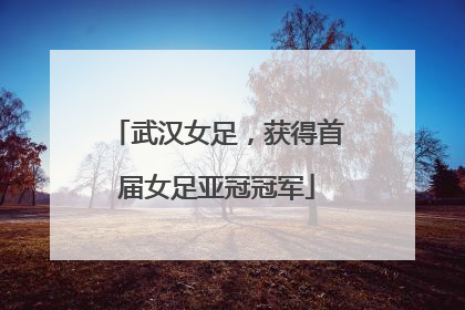 武汉女足，获得首届女足亚冠冠军